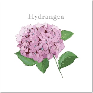 Hydrangea flower Posters and Art